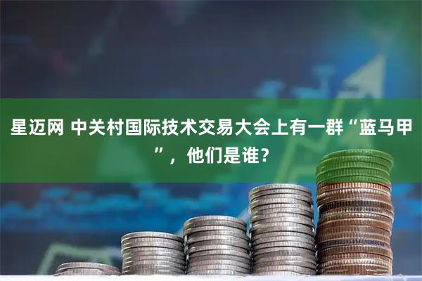 星迈网 中关村国际技术交易大会上有一群“蓝马甲”，他们是谁？