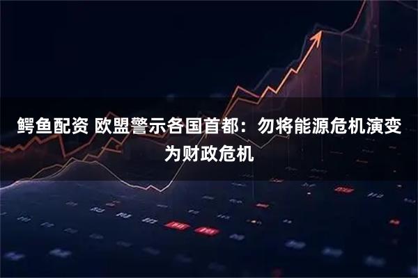 鳄鱼配资 欧盟警示各国首都：勿将能源危机演变为财政危机
